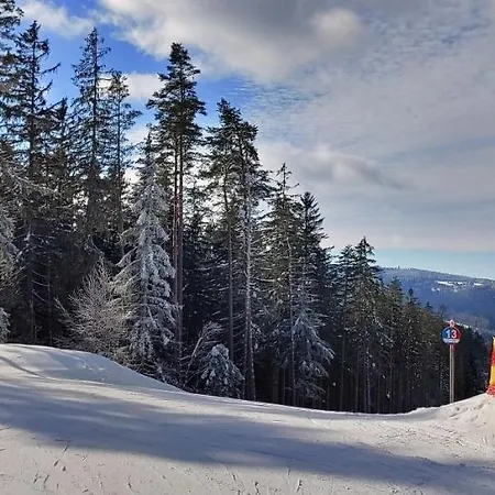 Bdapartmany * Lipno nad Vltavou