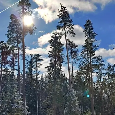 Apartment Bdapartmany