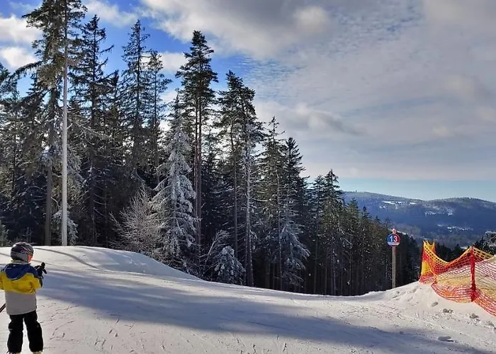 Bdapartmany * Lipno nad Vltavou